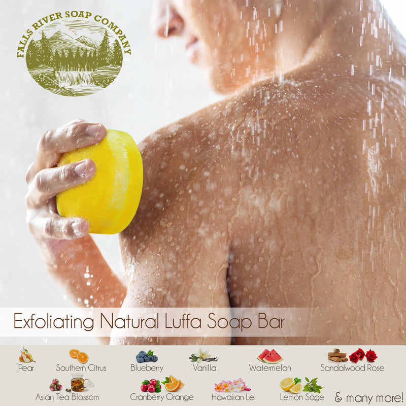 Blueberry 4 Oz Natural Luffa Soap Bar - Exfoliating Soap with Loofah Inside - Eco-Friendly, Natural Soap with Loofah Inside - Falls River Soap Company
