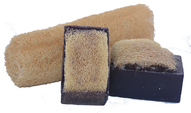 Luffa Soap Bar (4.5oz) - Lavender - Exfoliating Soap, Handmade Glycerin soap