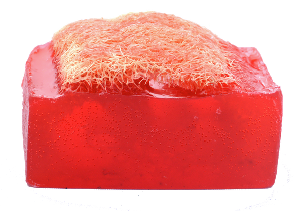 Luffa Soap Bar (4.5oz) - Verbena and Berries - Exfoliating Soap, Handmade Glycerin soap
